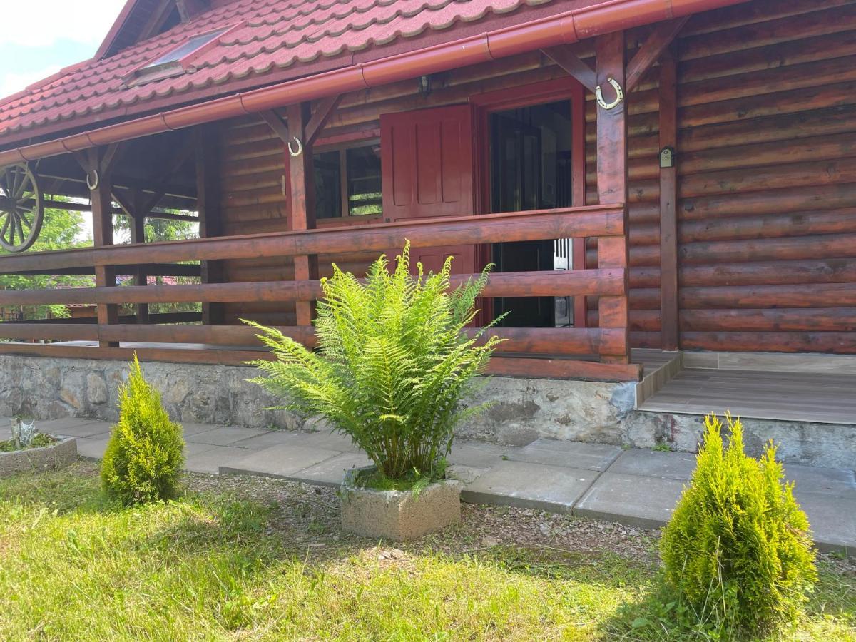 Cabana Transilvania Beliş Extérieur photo