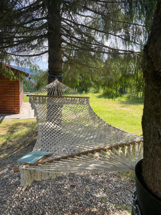 Cabana Transilvania Beliş Extérieur photo